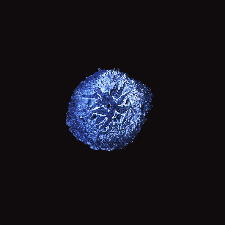 Emulsion Bloom