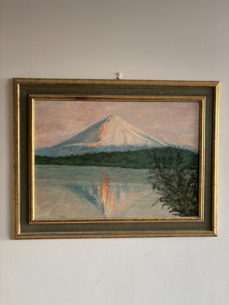 Vulcano di Villarica (Cile)