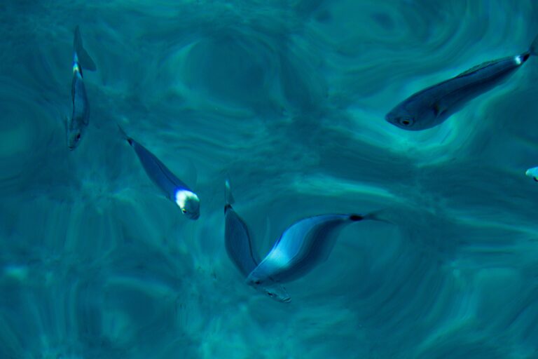 Surface of water – photo 9