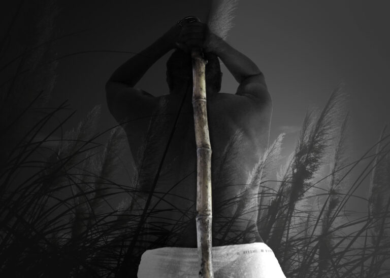 Ancestral Code