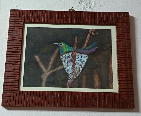 Colibrì verso sera