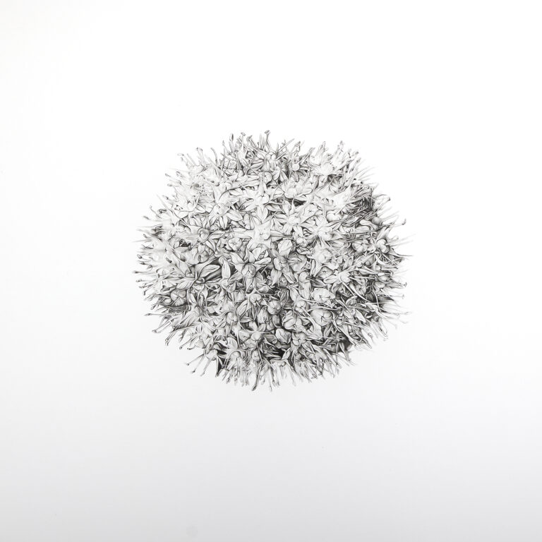 Myriade