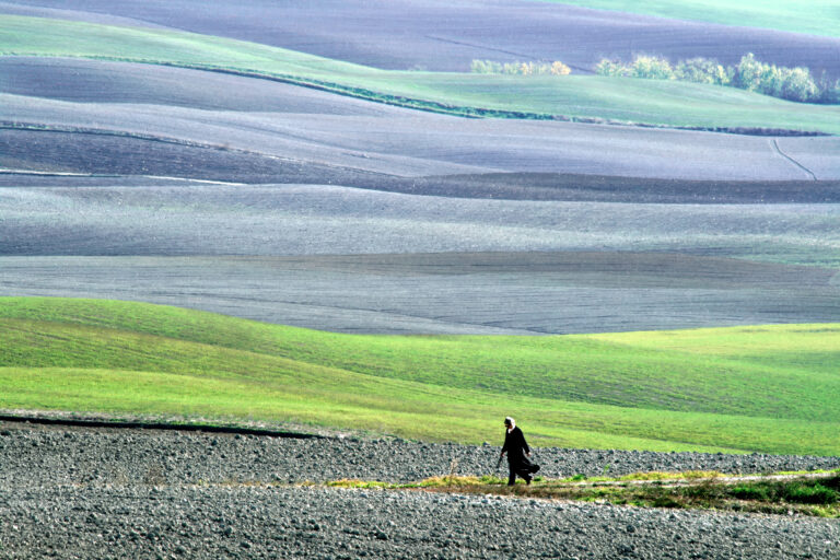 In cammino tra le crete senesi