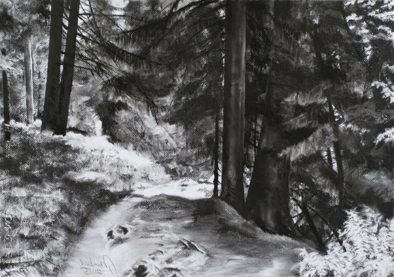 Forest path II