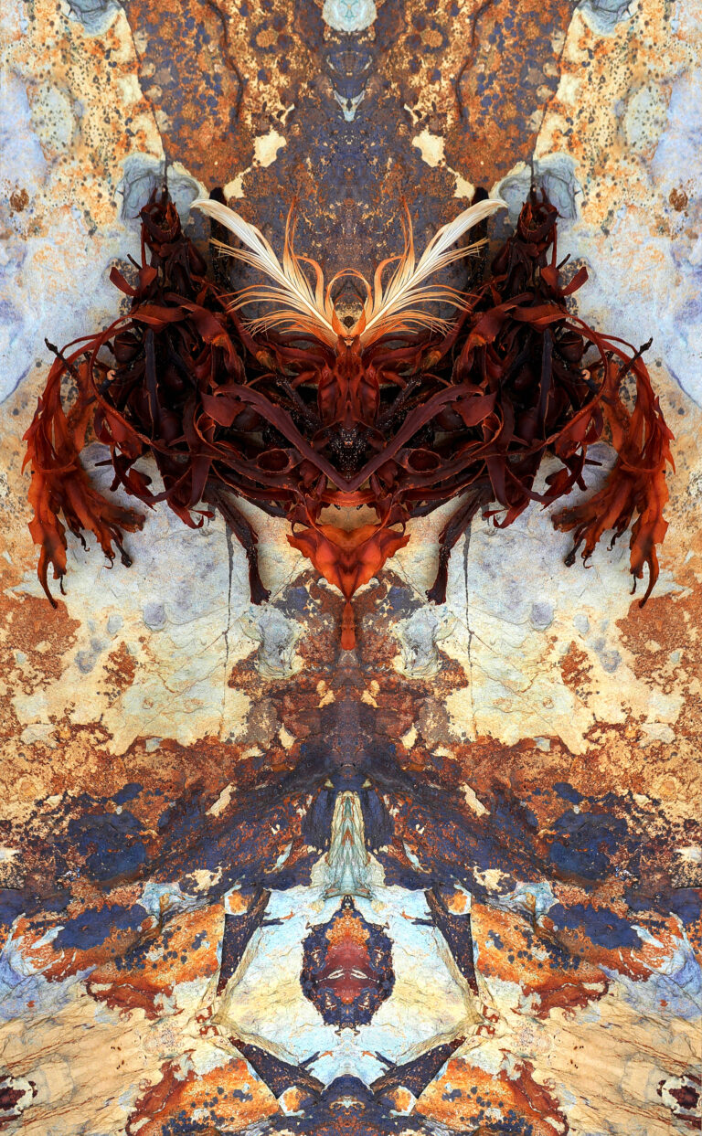 State of Reflection