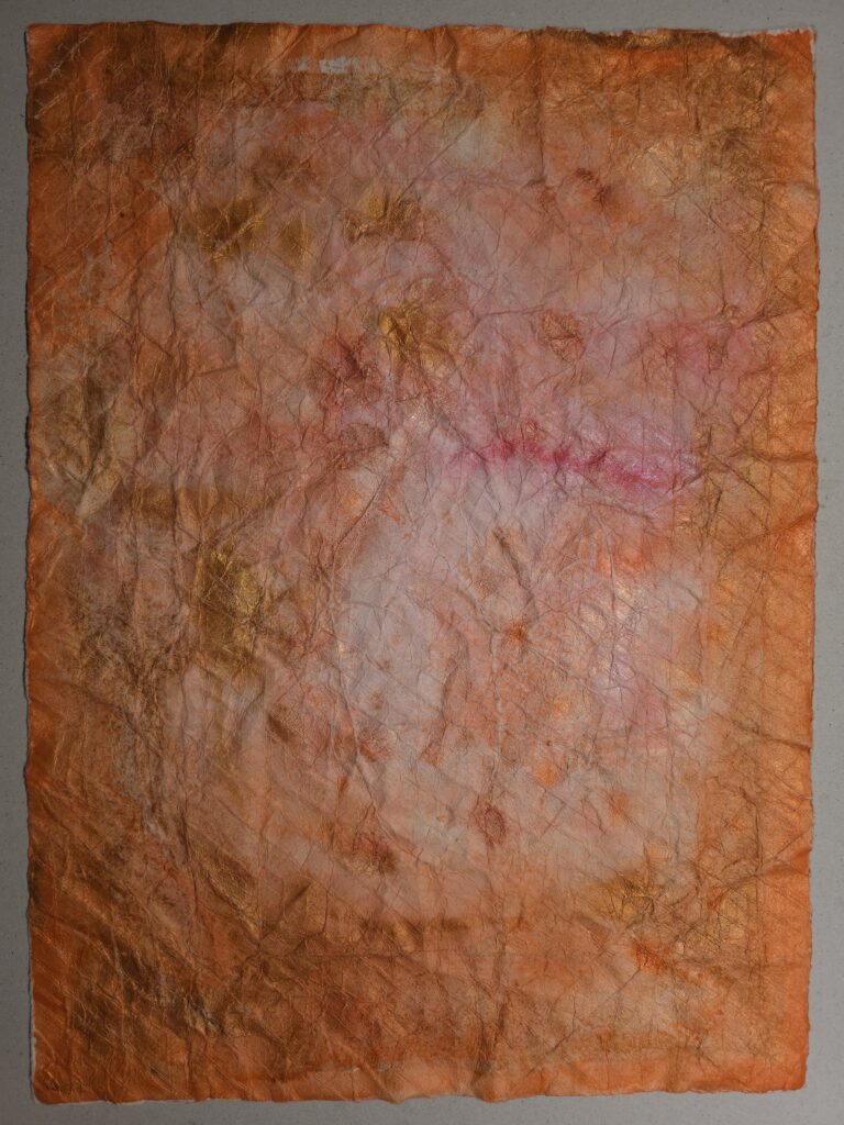 AMBIGUUS II