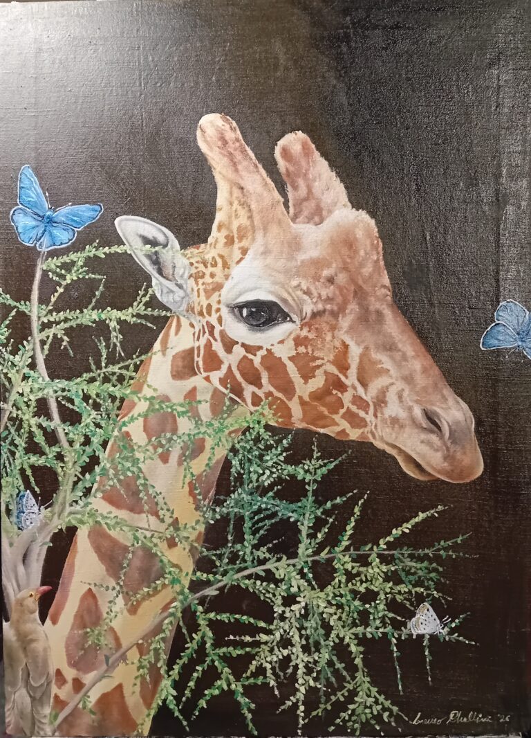 La Bufaga e la Giraffa