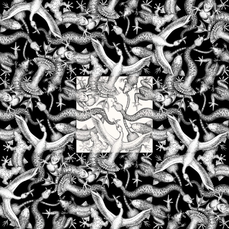 Vertebrae