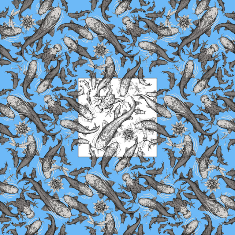 The Infinite Pond