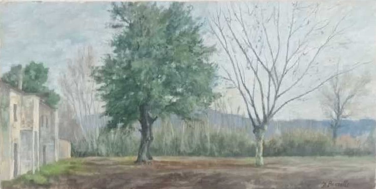La Fattoria Benelli