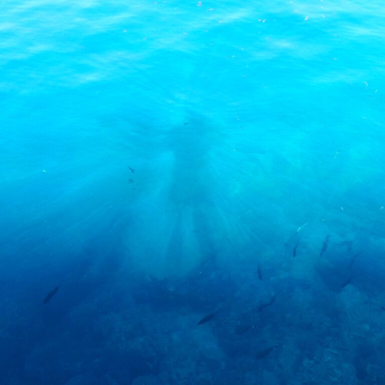 The Sea Ghost